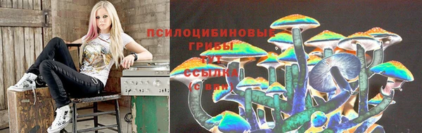 гашиш Болотное