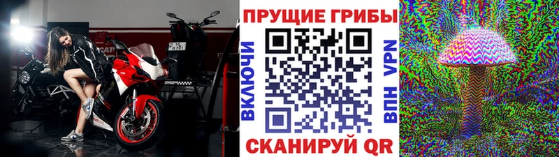 цена сайты даркнета как зайти Галлюциногенные грибы Psilocybe Верхняя Салда блэк спрут зеркало