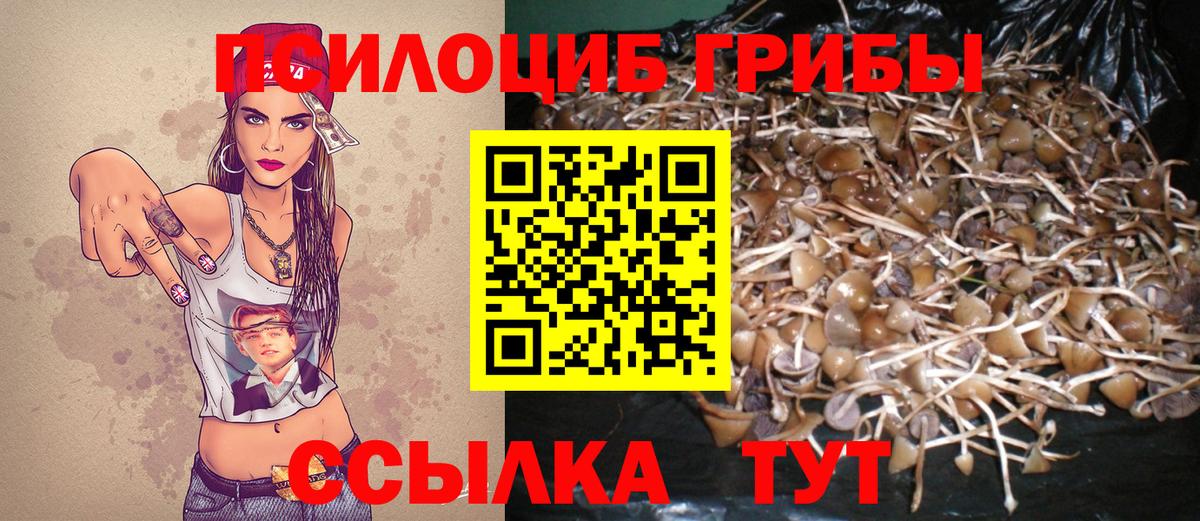 Верхняя Салда  Галлюциногенные грибы Magic Shrooms  Вход с VPN 